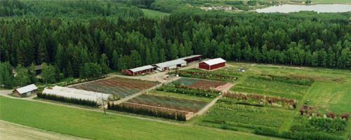 Ilmakuva taimistosta